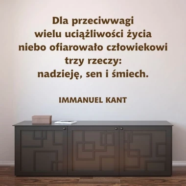 Naklejka dla przeciwwagi 1964 - Aranżacja w salonie. Ściany w jasnym kolorze, meble w ciemnym odcieniu