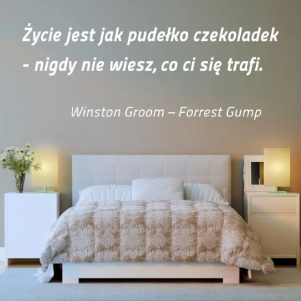 Naklejka życie jest jak pudełko czekoladek 1968