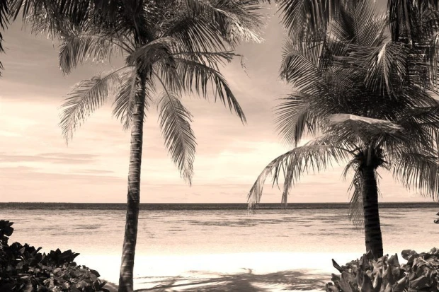 Fototapeta na ścianę w odcieniach sepii z nadrukiem egzotycznej plaży, palm i spokojnego morza