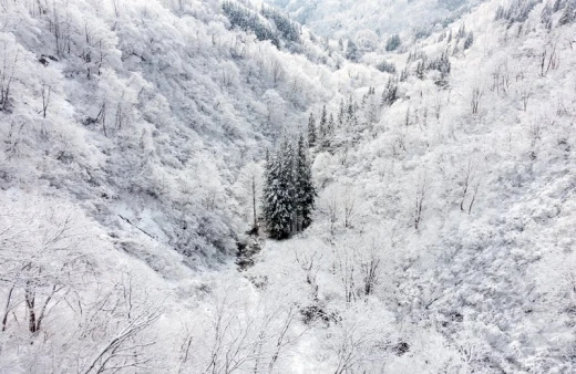 Fototapeta z nadrukiem zimowego krajobrazu przedstawiającego ośnieżoną dolinę górską i las iglasty