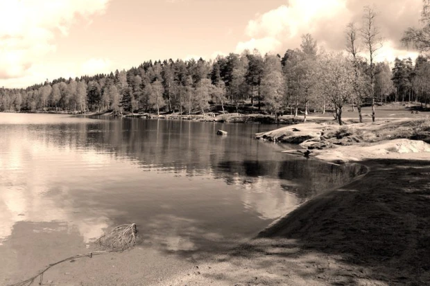 Fototapeta na ścianę z nadrukiem norweskiego jeziora i lasu w Oslo w tonacji sepii jako wizualizacja wzoru