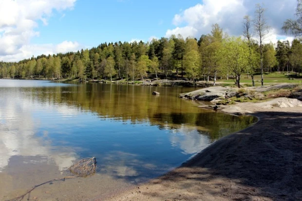 Fototapeta na ścianę z nadrukiem jeziora otoczonego zielonym lasem w Oslo
