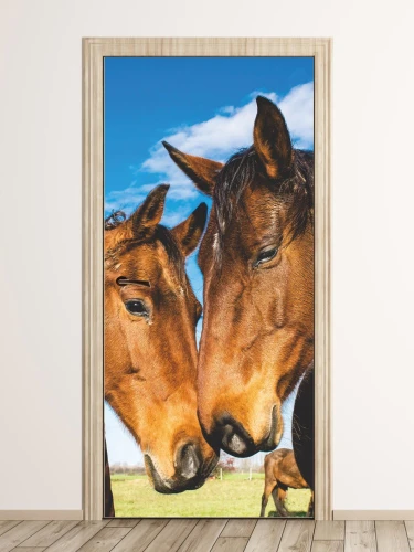 Fototapeta na drzwi dwie klacze FP 3018 D