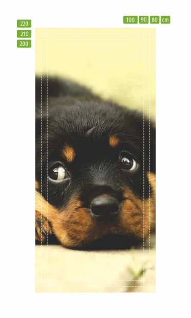 Fototapeta na drzwi ze szczeniakiem rottweilera w ujęciu z liniami pomocniczymi do docinania wymiaru