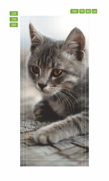 Fototapeta na drzwi z pręgowanym kotem w formie infografiki pokazującej linie cięcia i wymiary produktu