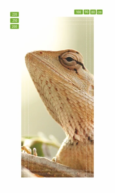 Fototapeta na drzwi jaszczurka FP 2650 D - Wzór graficzny. Grafika przedstawia jaszczurkę z wyraźnymi detalami skóry