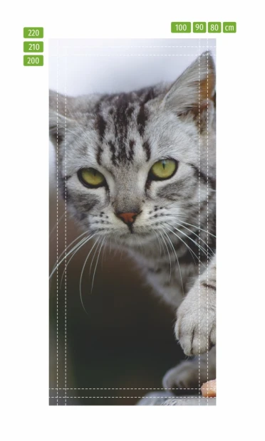 Fototapeta na drzwi z młodym kotem przedstawiona jako infografika z liniami cięcia i wymiarami