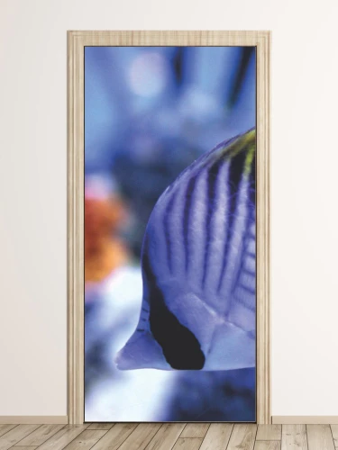 Fototapeta na drzwi rybka z rafy koralowej FP 2663 D