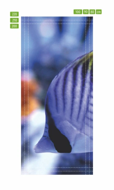 Fototapeta na drzwi rybka z rafy koralowej FP 2663 D - Wzór graficzny. Rybka w odcieniach niebieskiego z wyraźnymi paskami