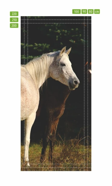 Fototapeta na drzwi konie na łące FP 2627 D - Wzór graficzny. Dwa konie stoją na łące, jedno białe, drugie ciemne, w tle