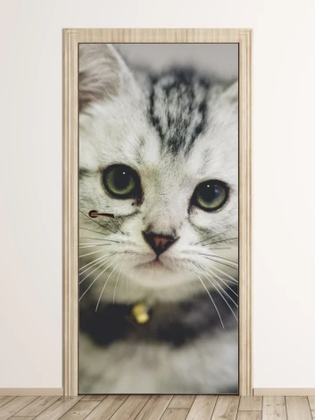 Fototapeta na drzwi kocię FP 2550 D - Wzór graficzny. Grafika przedstawia zbliżenie na kota z wyraźnymi oczami i wąsami