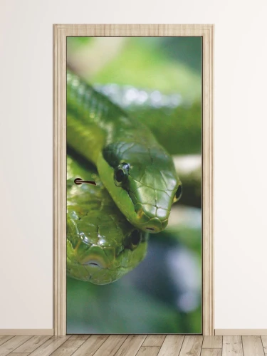 Fototapeta na drzwi para węży FP 2549 D