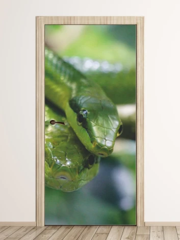 Fototapeta na drzwi para węży FP 2549 D - Wzór graficzny. Dwa zielone węże splatają się, ukazując ich łuski i oczy