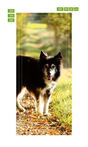 Fototapeta na drzwi pies na spacerze FP 2493 D - Wzór graficzny. Grafika przedstawia psa na spacerze w parku, w otoczeniu