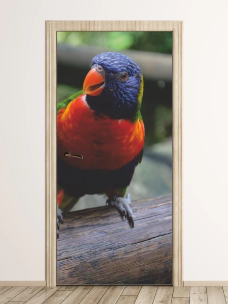 Fototapeta na drzwi papuga FP 2400 D - Wzór graficzny. Papuga z intensywnymi kolorami, siedząca na gałęzi