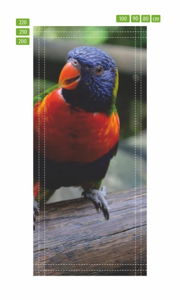 Fototapeta na drzwi papuga FP 2400 D - Wzór graficzny. Papuga z kolorowym upierzeniem na tle drewnianego elementu
