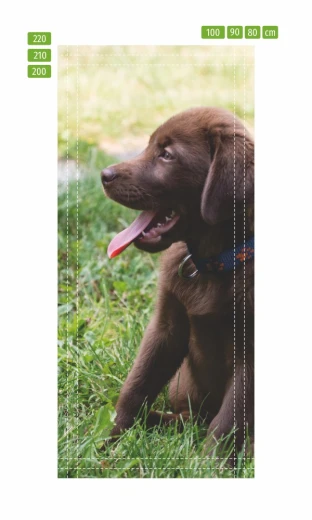 Fototapeta na drzwi z brązowym szczeniakiem labradora w ujęciu z liniami pomocniczymi wymiarowania