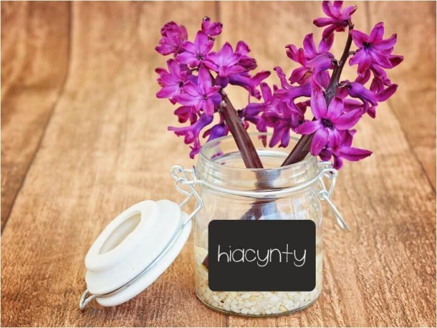 Etykiety kredowe na słoiki prostokąty 005 - komplet 16 szt - Aranżacja w kuchni. Drewniane blaty i jasne ściany