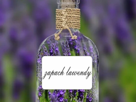 Etykiety suchościeralne na słoiki prostokąty 005 - komplet 16 szt