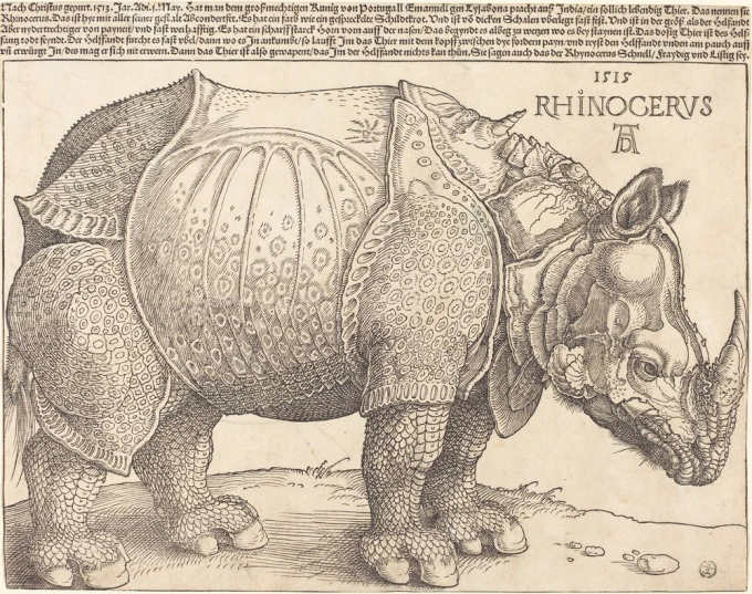 Reprodukcja The Rhinoceros, Albrecht Durer - Wzór graficzny. Obraz przedstawia nosorożca w profilu z detalami skóry i zbroi