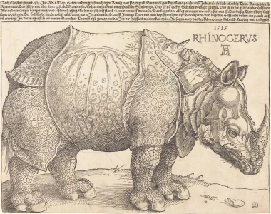 Reprodukcja The Rhinoceros, Albrecht Durer - Wzór graficzny. Obraz przedstawia nosorożca w profilu z detalami skóry i zbroi