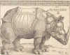 Reprodukcja The Rhinoceros, Albrecht Durer - Wzór graficzny. Obraz przedstawia nosorożca w profilu z detalami skóry i zbroi