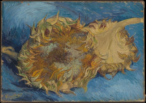 Reprodukcja Sunflowers, Vincent van Gogh - Wzór graficzny. Obraz przedstawia przekrojony kwiat słonecznika na intensywnym