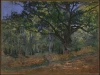 Reprodukcja The Bodmer Oak, Fontainebleau Forest, Claude Monet - Wzór graficzny. Obraz przedstawia duży dąb w lesie