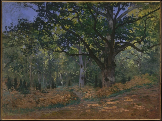 Reprodukcja The Bodmer Oak, Fontainebleau Forest, Claude Monet - Wzór graficzny. Obraz przedstawia duży dąb w lesie