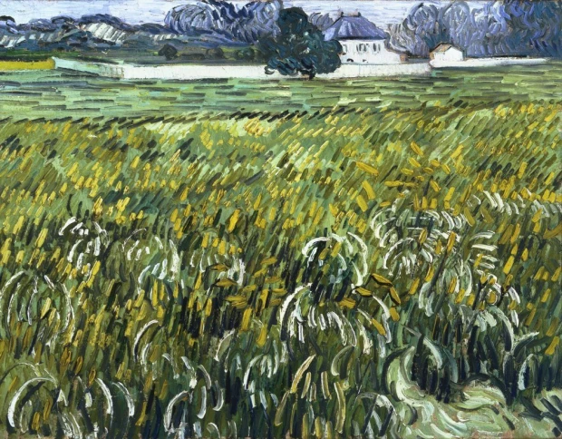 Reprodukcja House at Auvers 1890, Vincent van Gogh - Wzór graficzny. Obraz przedstawia pole z żółtymi i zielonymi łanami