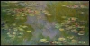 Reprodukcja Water Lilies, 1919, Claude Monet - Wzór graficzny. Obraz przedstawia wodne lilie na powierzchni wody
