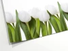 Tablica suchościeralna magnetyczna tulipany 01X 068 - Wzór graficzny. Białe tulipany z zielonymi liśćmi na jasnym tle