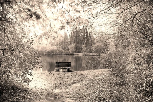 Fototapeta z nadrukiem ławki nad jeziorem w jesiennym parku w tonacji sepii jako wizualizacja wzoru
