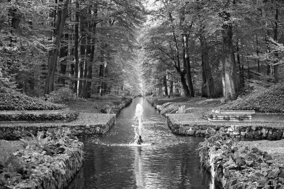 Fototapeta na ścianę parkowa latarnia FP 3710 - Wzór graficzny. Widok na park z alejkami, drzewami i wodnym strumieniem