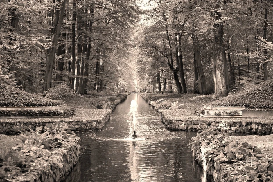 Fototapeta na ścianę parkowa latarnia FP 3710 - Wzór graficzny. Widok na alejkę w parku z drzewami i wodą