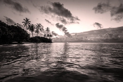 Fototapeta na ścianę z nadrukiem tropikalnej wyspy z palmami nad oceanem w sepii