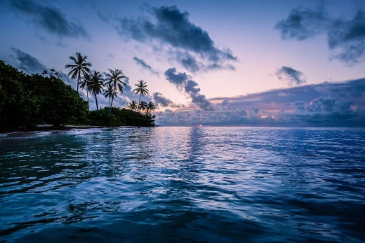 Fototapeta na ścianę z nadrukiem tropikalnej wyspy z palmami o zachodzie słońca nad oceanem