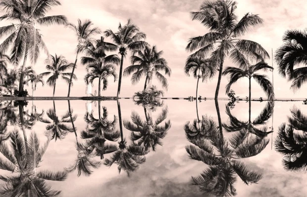 Fototapeta na ścianę odbicia palm w wodzie FP 3854 - Wzór graficzny. Grafika przedstawia palmy odbijające się w wodzie