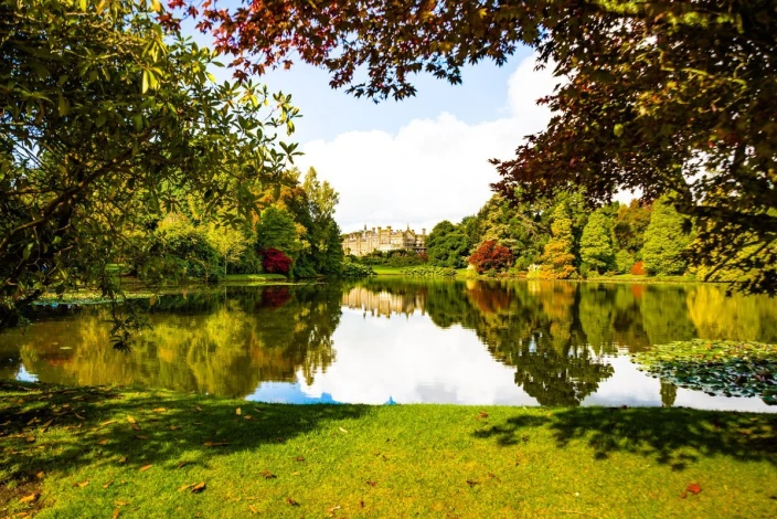 Fototapeta na ścianę zielony park FP 3869 - Wzór graficzny. Widok na park z drzewami, wodą i odbiciem w lustrze