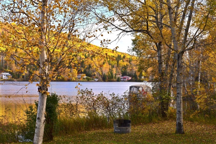 Fototapeta na ścianę domki nad jeziorem FP 3991 - Aranżacja w naturalnym otoczeniu. Widoczne drzewa i jezioro w tle