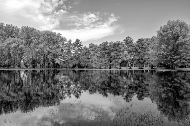 Czarno-biała fototapeta z nadrukiem jesiennego lasu odbijającego się w lustrze wody jeziora