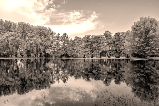 Fototapeta w odcieniach sepii z nadrukiem jesiennego lasu i chmur odbijających się w wodzie jeziora