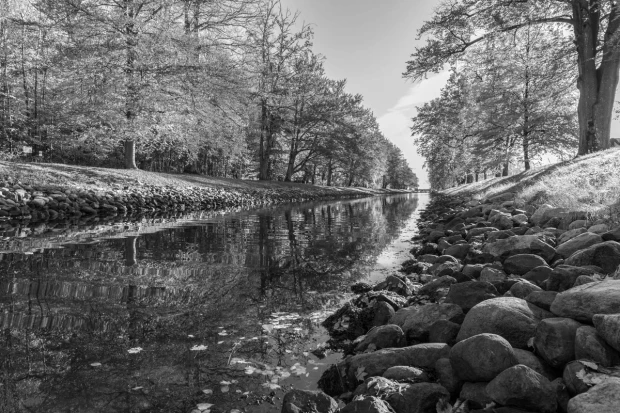 Czarno-biała fototapeta na ścianę z nadrukiem kamienistego brzegu rzeki i drzew odbijających się w wodzie