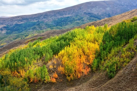 Fototapeta na ścianę jesienne pasma wzgórz FP 5763