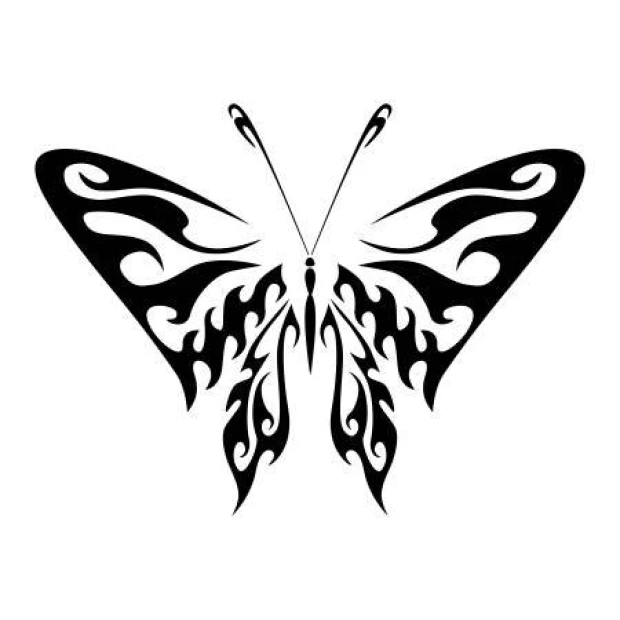 Szablon do malowania ognisty motyl 2355 - Wzór graficzny. Motyl z dynamicznymi, falistymi liniami i symetrycznymi kształtami