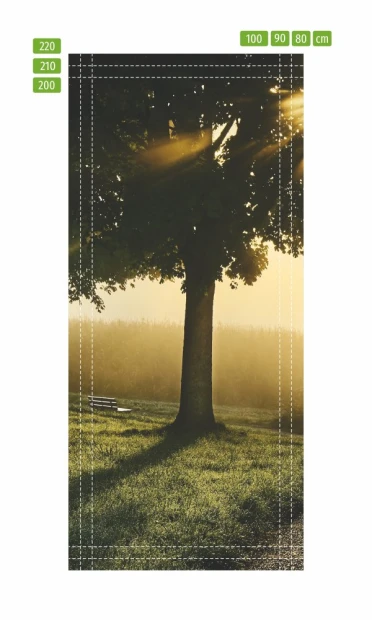 Fototapeta na drzwi drzewo w słońcu FP 4021 - Wzór graficzny. Drzewo z promieniami słońca na tle zielonej trawy i pola