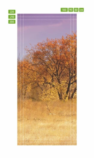 Fototapeta na drzwi z jesiennym motywem drzew, przedstawiona jako infografika z liniami pomocniczymi wymiarów