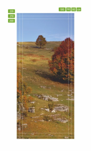 Fototapeta na drzwi jesień w górach FP 3982 - Wzór graficzny. Na tle nieba widać drzewa z pomarańczowymi liśćmi