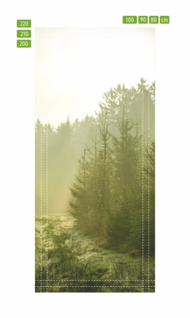 Fototapeta na drzwi świt w górach FP 1774 - Wzór graficzny. Przedstawia mglisty poranek w lesie z sosnami i trawą