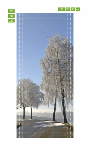 Fototapeta na drzwi droga przez zimowe pola FP 5967 - Wzór graficzny. Dwa drzewa pokryte szronem przy drodze, niebo w jasnym